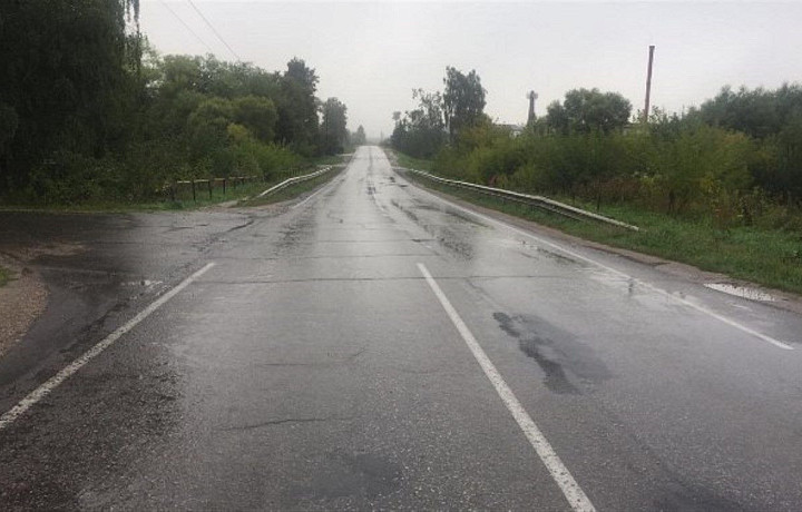 «Где папа?»: виновник гибели многодетного отца из Одоева вновь оказался в колонии из-за пьянки