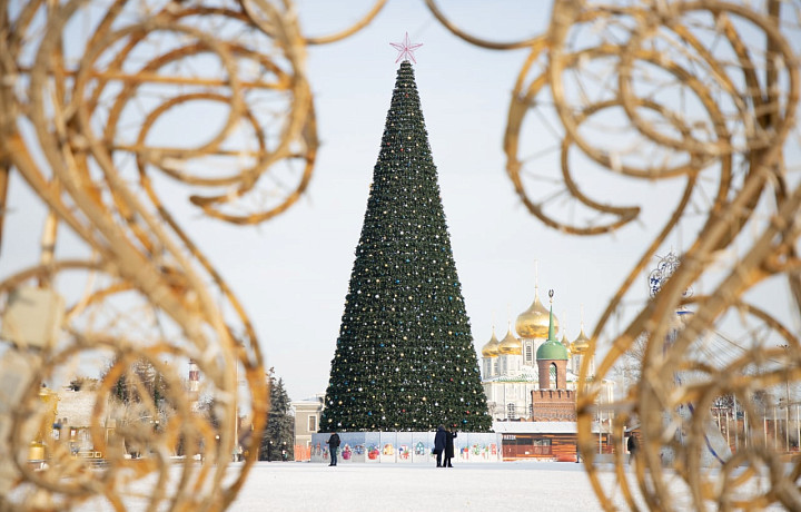На площади Ленина в Туле закончили установку новогодней елки