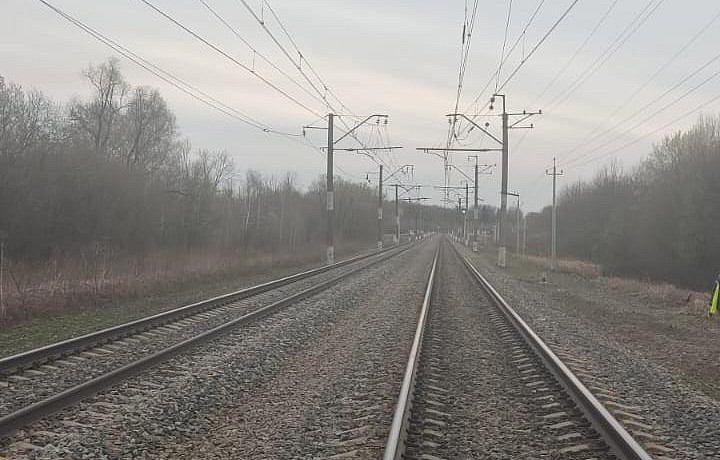 Задержан местный житель за попытку кражи рельсов в Тульской области