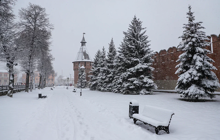 Территория Тульского кремля закроется для посещения с 30 января по 2 февраля