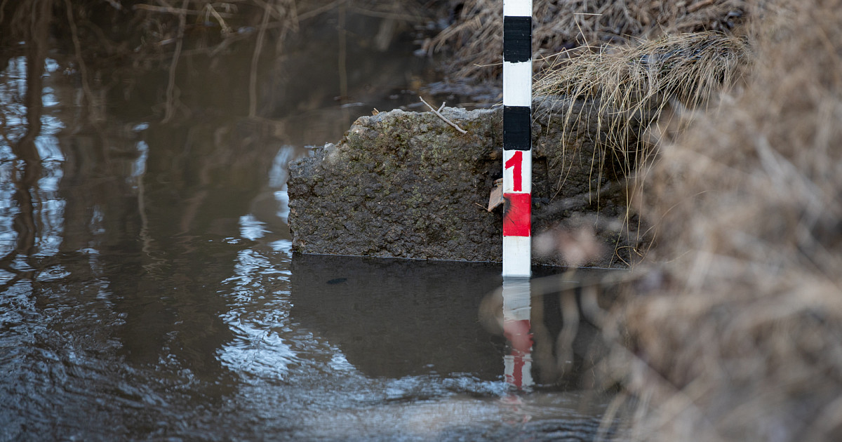 Насколько поднялась вода. Морская водомерная рейка гм-3. Речка тишанка волгоградская область. Насколько поднялась вода. Насколько поднялась вода.