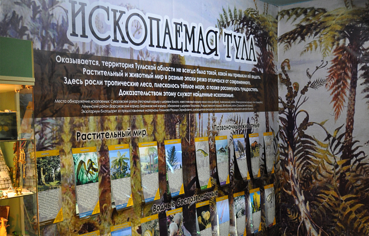 18 января в тульском экзотариуме откроется выставка «Ископаемая Тула»