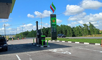 Тульские власти о ситуации с бензином: Закон не предусматривает госрегулирование цен