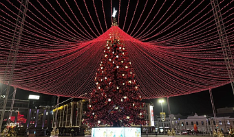 Две новогодние ёлки из Тульской области принимают участие во Всероссийском конкурсе