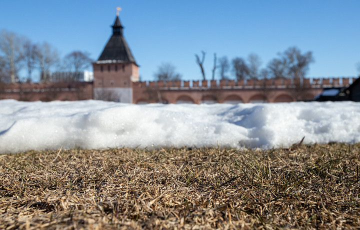 Бобовые, огурцы, рыба: какие продукты врачи советуют есть весной?