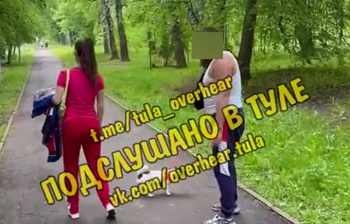 В Туле пенсионер получил сотрясение мозга по вине владельца собаки