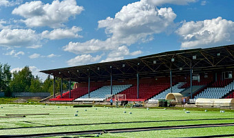 В Новомосковске приступили к реконструкции футбольного поля на стадионе «Химик»