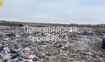 В Венёвском районе нашли нарушения экологических норм на полигоне ТБО