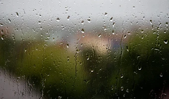 В Тульской области 31 марта пройдет дождь