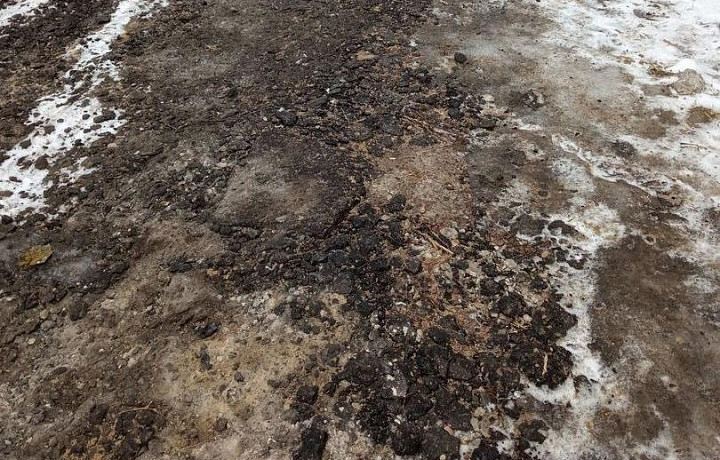 Туляки пожаловались на состояние тротуара на улице Глинки