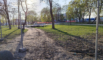 В Туле перекрыли сквер на улице Кауля