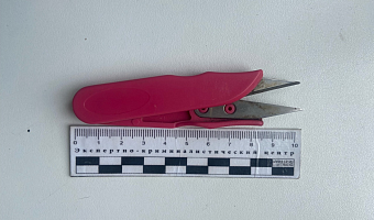 В Белеве женщина пыталась пронести ножницы в здание суда