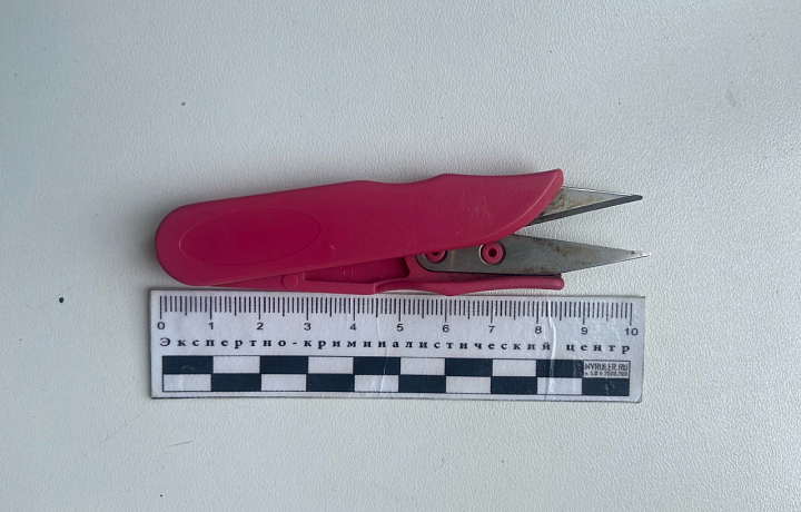 В Белеве женщина пыталась пронести ножницы в здание суда