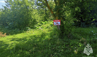 39-летний мужчина утонул в реке Красивая Меча под Ефремовом