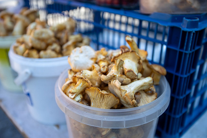 В Тулу везут грибы и землянику из Орловской области