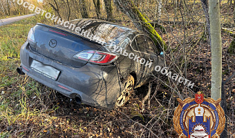 Две маленькие девочки попали в больницу после столкновения Mazda и Chery в Щекинском районе