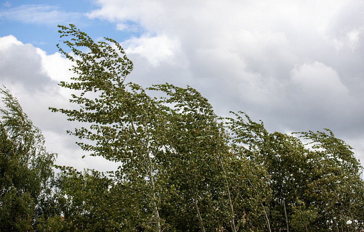 В Тульской области в ближайшие 1-3 часа возможна гроза