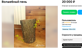В Новомосковске за 20 тысяч рублей продается волшебный пень