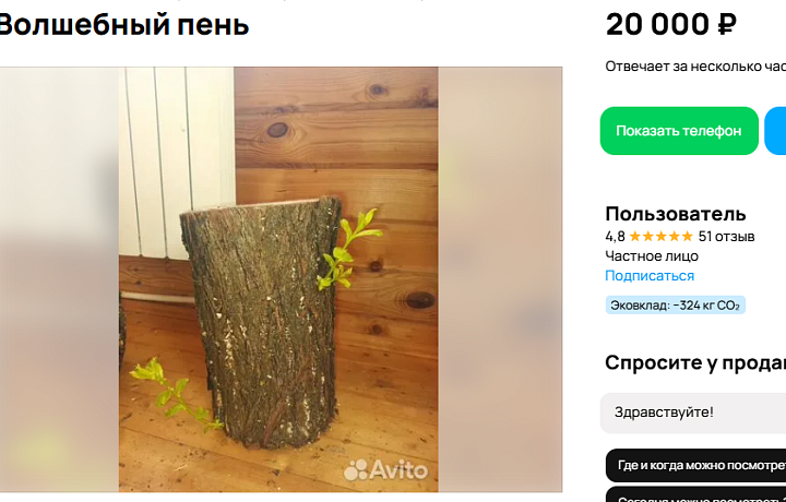 В Новомосковске за 20 тысяч рублей продается волшебный пень