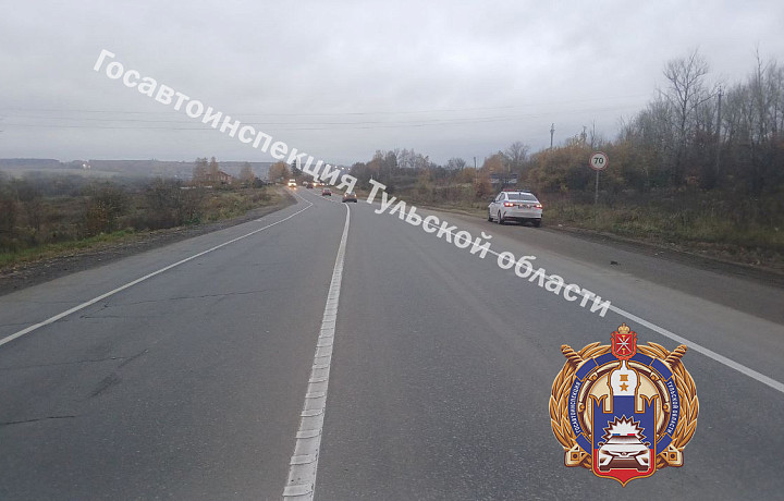 Пешеход нарушил ПДД и погиб под колесами автомобиля на трассе Тула-Новомосковск