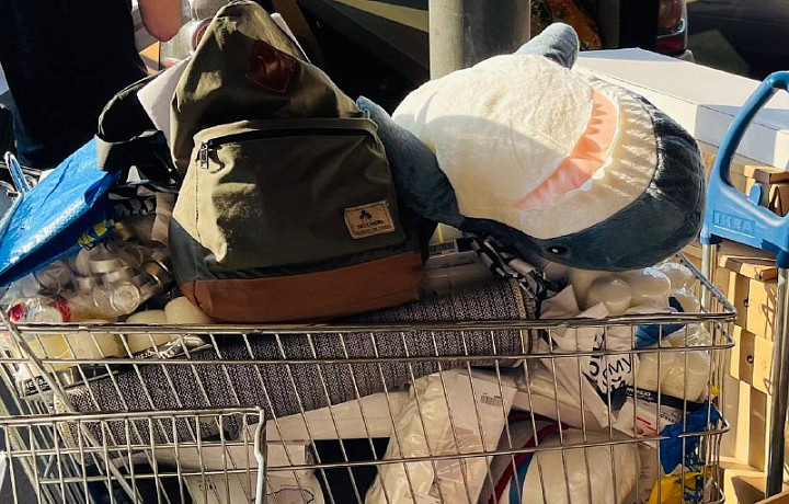 В России прощаются с торговой сетью IKEA