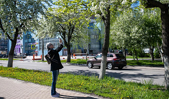 В Центральную Россию пришло июльское тепло