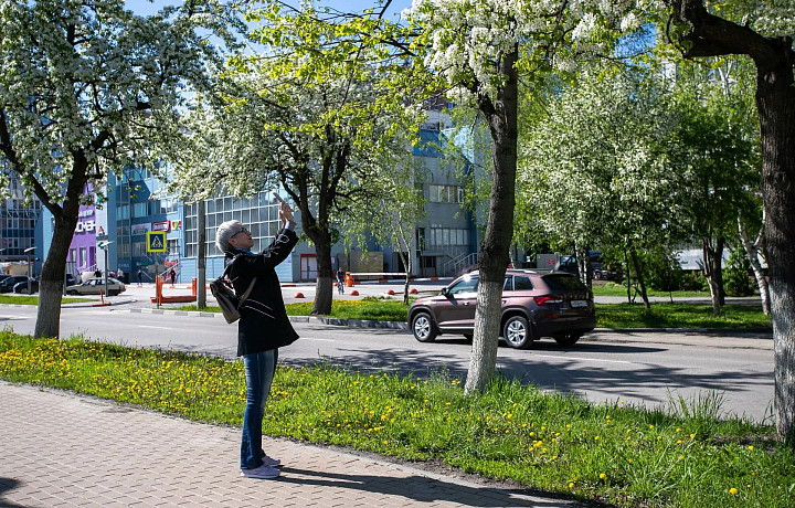 В Центральную Россию пришло июльское тепло