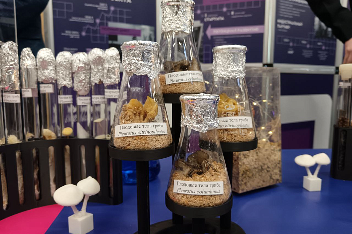 Губернатор Миляев осмотрел выставку инноваций в тульском кластере «Октава»