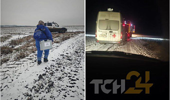 Медикам пришлось идти пешком к пациенту в деревне под Веневом: машина застряла, дороги к населенному пункту просто нет