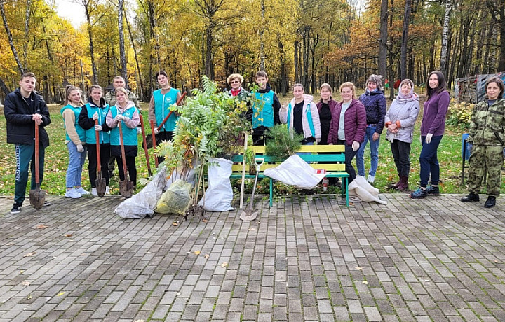 В суворовском городском парке высадили 300 саженцев деревьев