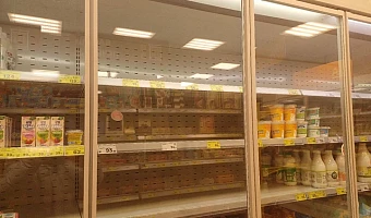 Тульские власти называют перебои с хлебом и молоком точечными и связывают их со снегопадом