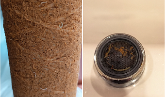 Твердые фракции, хлопья и видимые биологические агенты: суд опубликовал результаты проб воды в Узловой, когда люди находили в ней червей