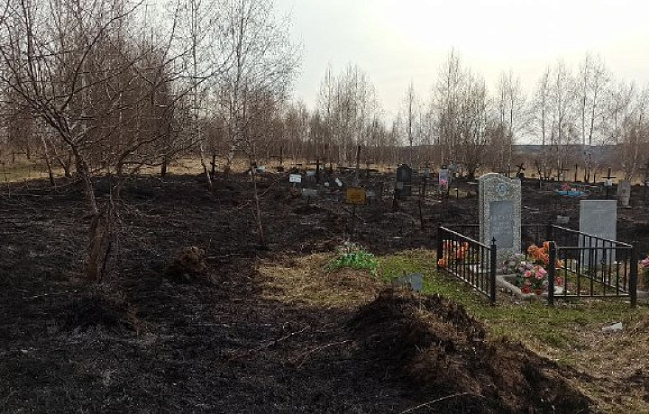 Могилы обгорели из-за пала травы на кладбище в поселке Дубна Тульской области