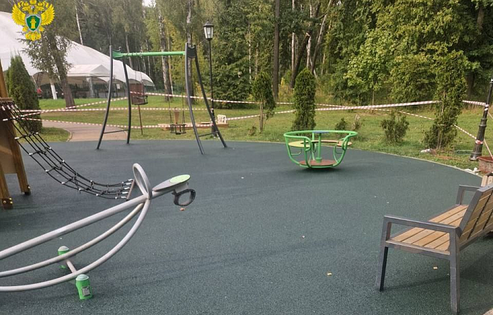 Прокуратура обнаружила небезопасную игровую площадку в парке Новомосковска