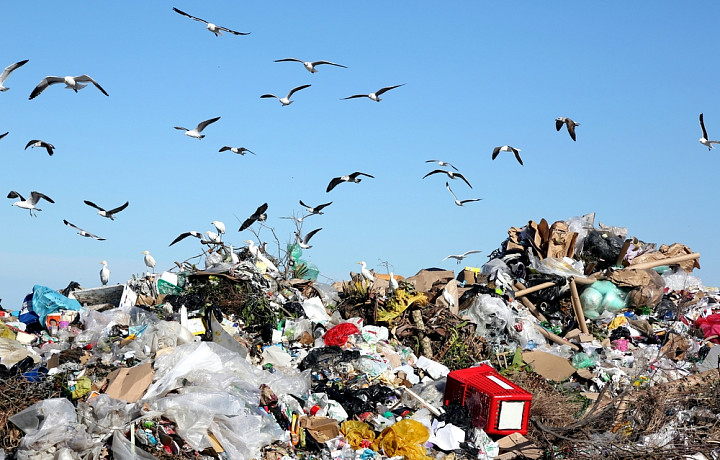Администрацию Алексина обязали мониторить состояние закрытого полигона отходов