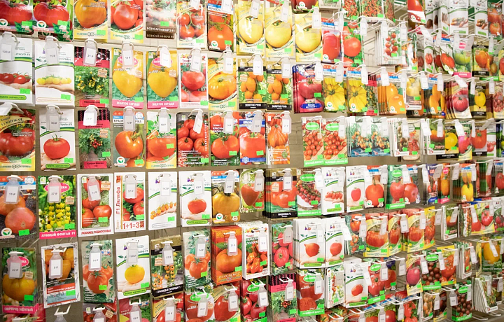 В Тульской области выявили продажу сомнительных семян сельхозрастений