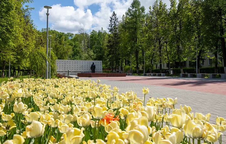 Туляки выбирают территории для благоустройства до 12 июня