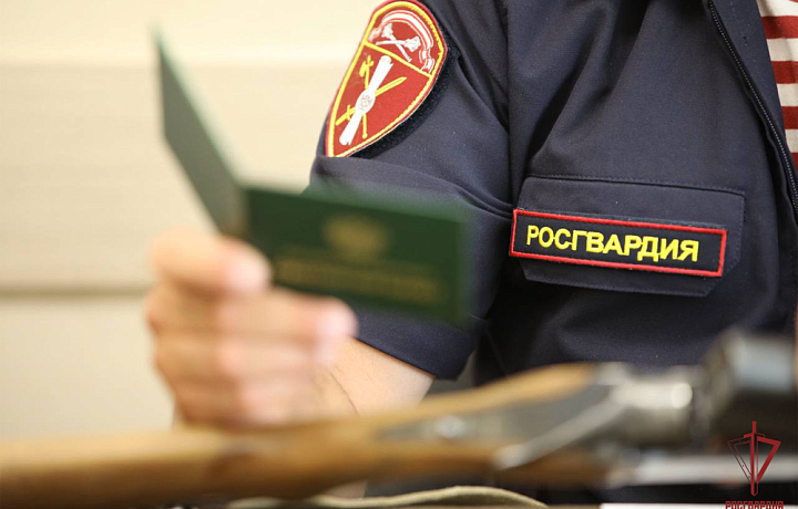 Росгвардейцы изъяли 23 единицы оружия у жителей Тульской области за неделю