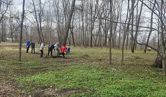 В Богородицком дворце-музее обновляют старый парк