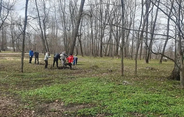В Богородицком дворце-музее обновляют старый парк