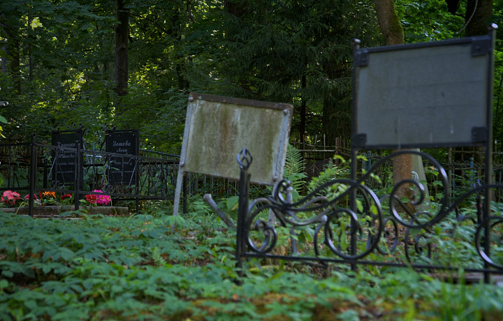 Туляки могут принять участие в акции по поиску одиночных могил ветеранов ВОВ на Всехсвятском кладбище