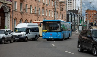 Автобусы – самый популярный вид общественного транспорта в Туле за первое полугодие