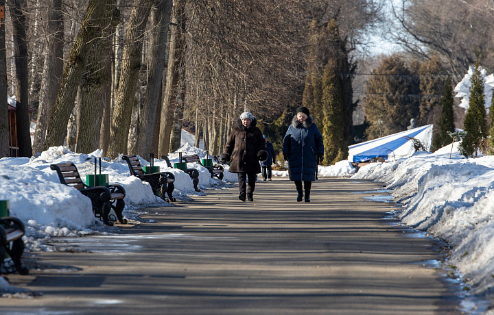 Похолодание до +15 и облачная погода ожидаются в Тульской области 3 апреля