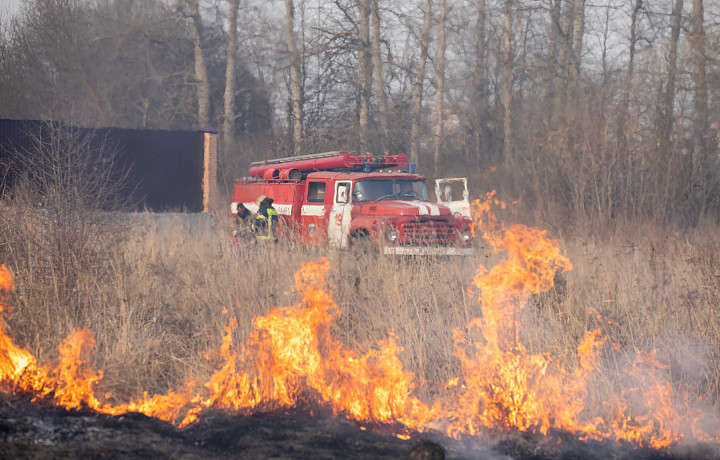 С начала года в Тульской области зарегистрировали 263 случая возгорания травы и мусора