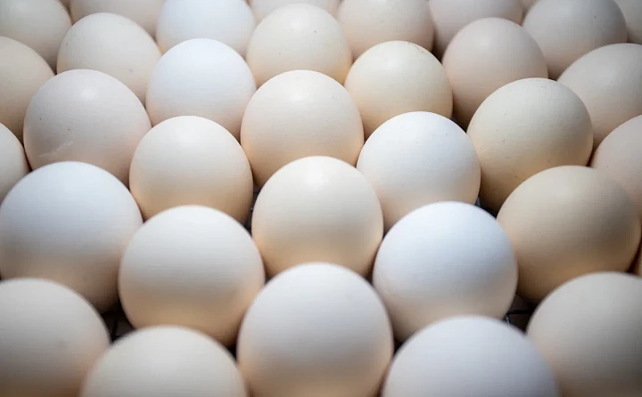 Десяток яиц в Тульской области с начала года подорожал в среднем на 20 рублей