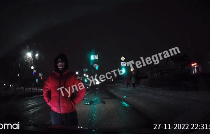Туляк вышел на проезжую часть и чуть не попал под колеса автомобиля