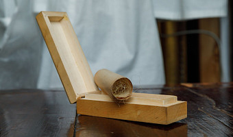 Прядь волос с бороды и пару рукописных листов сохранила дочь Льва Толстого после смерти отца