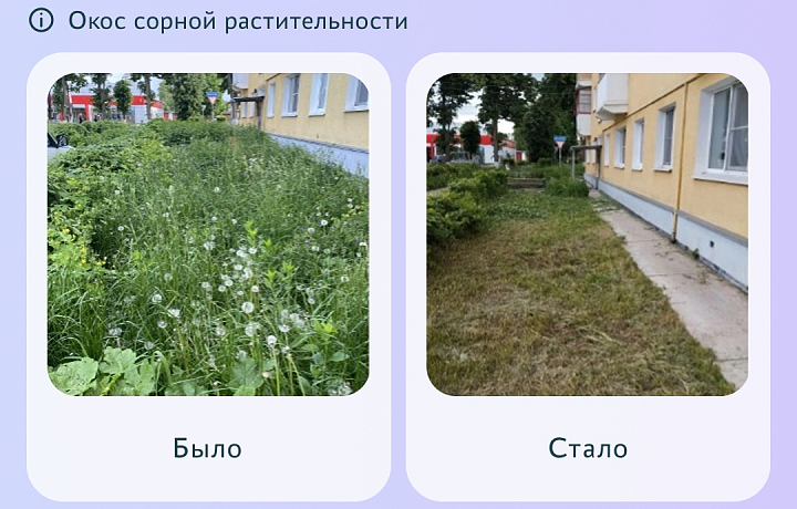 Тулякам назвали муниципалитеты, решившие за неделю больше всего проблем жителей