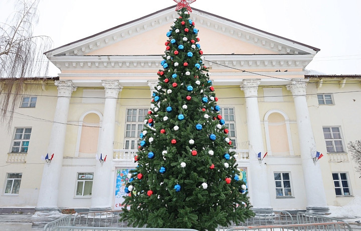 В разных районах Новомосковска появились праздничные елки