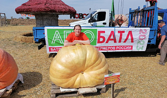 Правильный и постоянный уход, обильный полив: фермер из Тулы Екатерина Колтыкова поделилась секретом, как вырастить 400-килограммовую тыкву